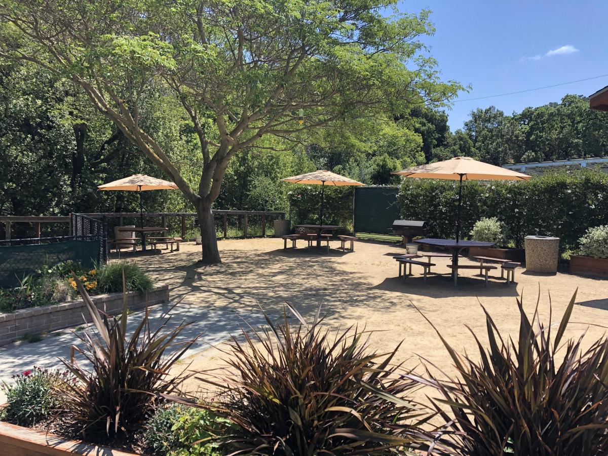 Group Picnic Area