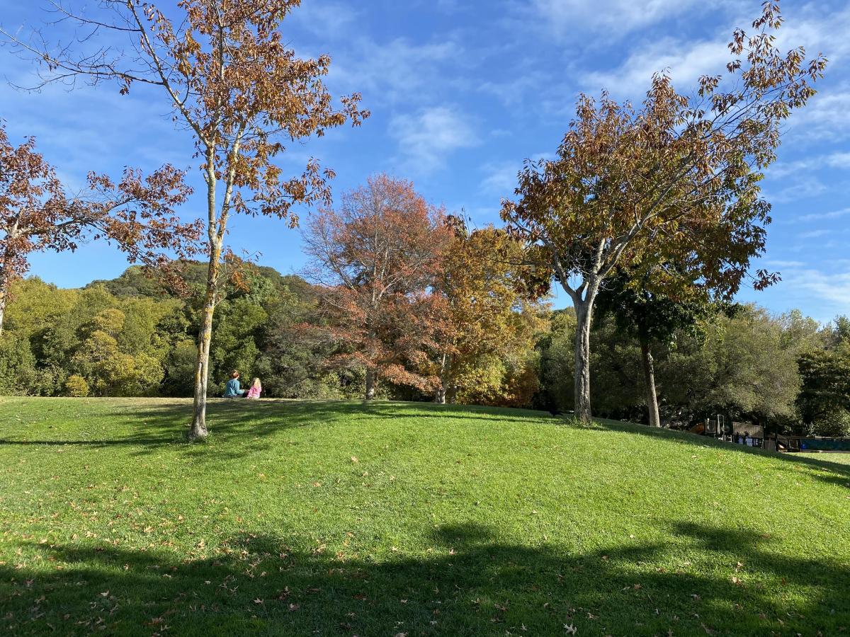 Marinwood Park  Marinwood Park