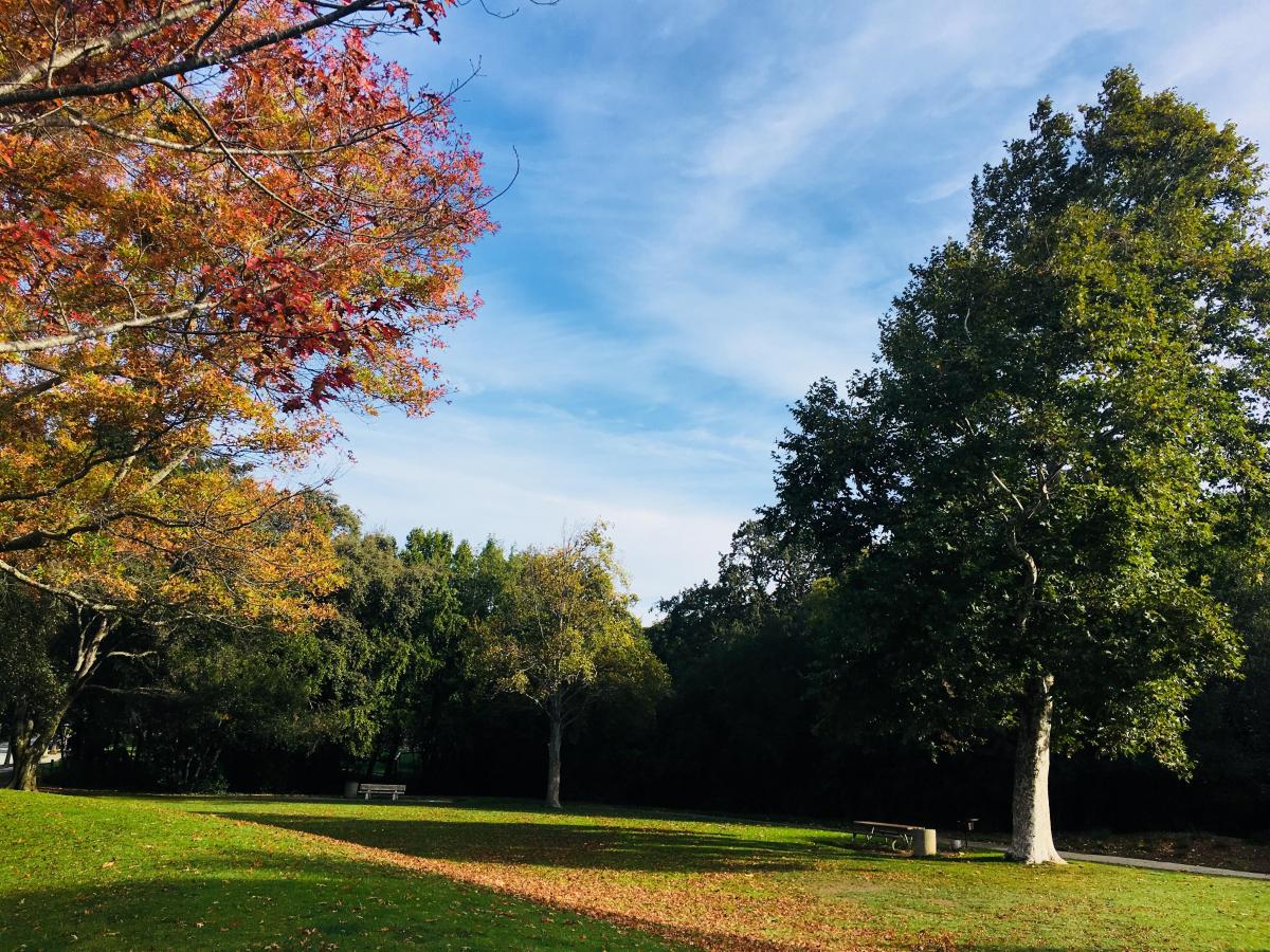 Marinwood Park